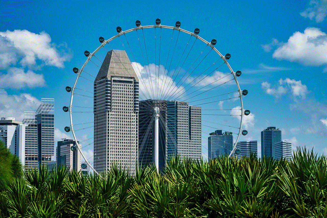 City Ferris Wheel