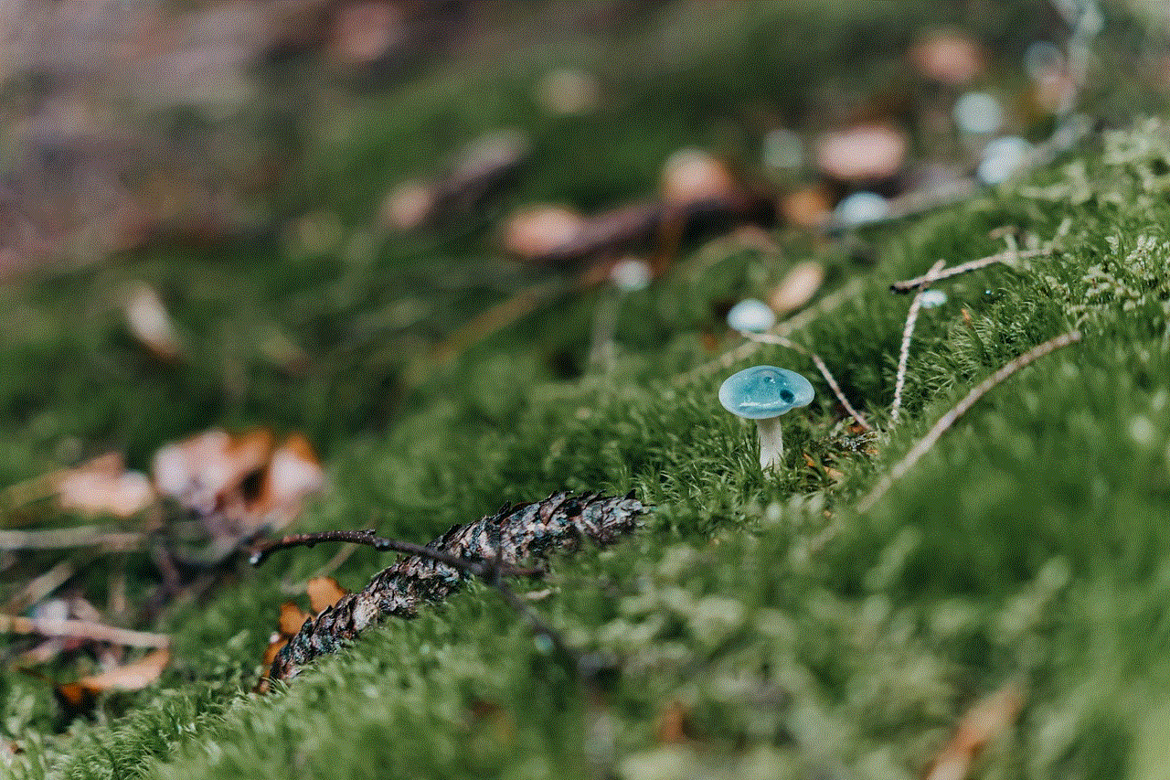 Nature Mushroom