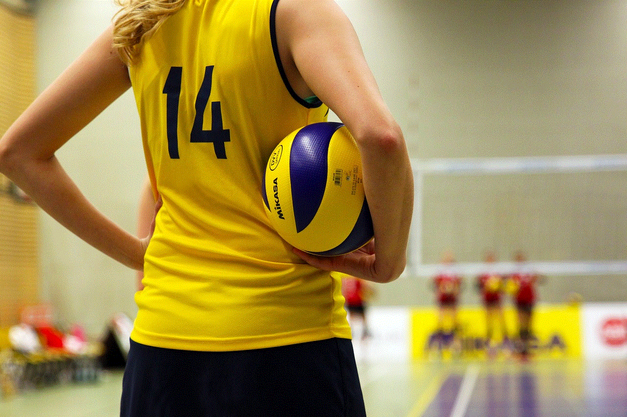 Volleyball Ball