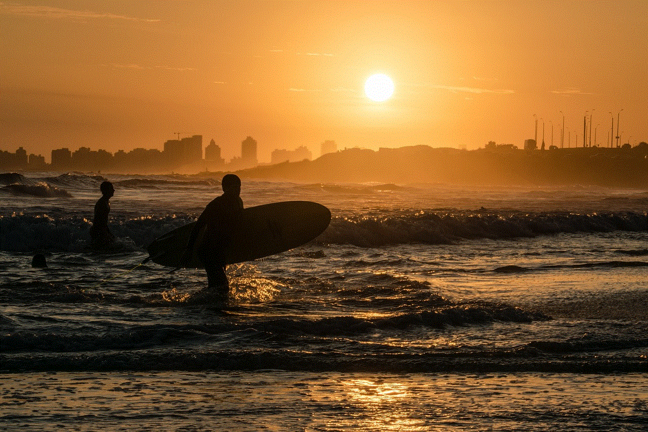 Sea Surfer