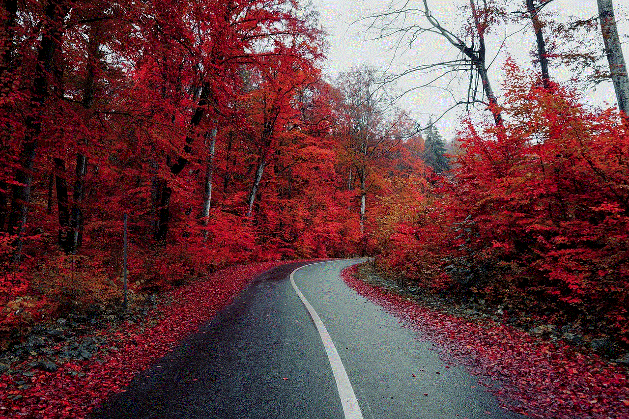 Road Countryside