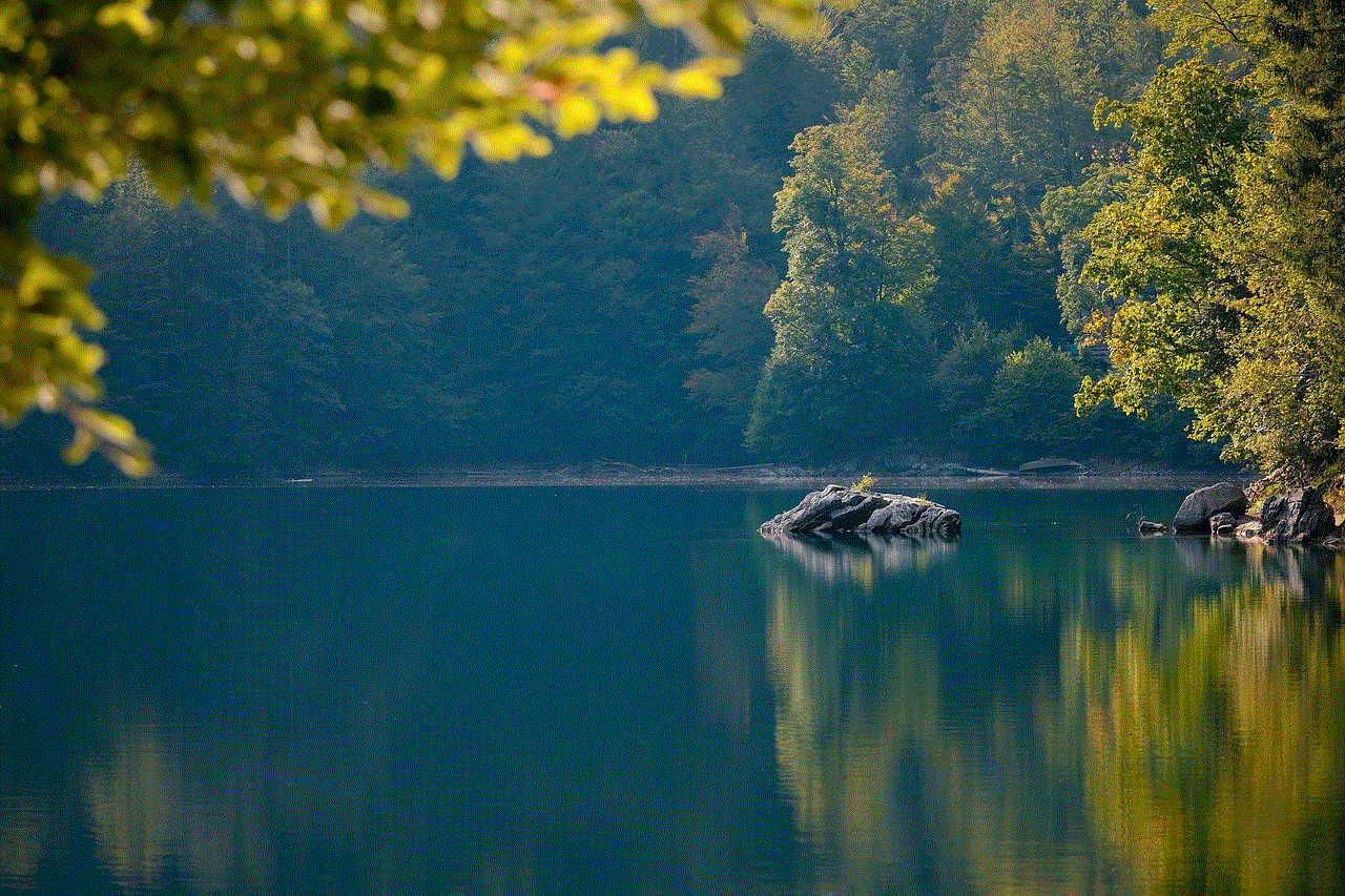 Lake Rocks