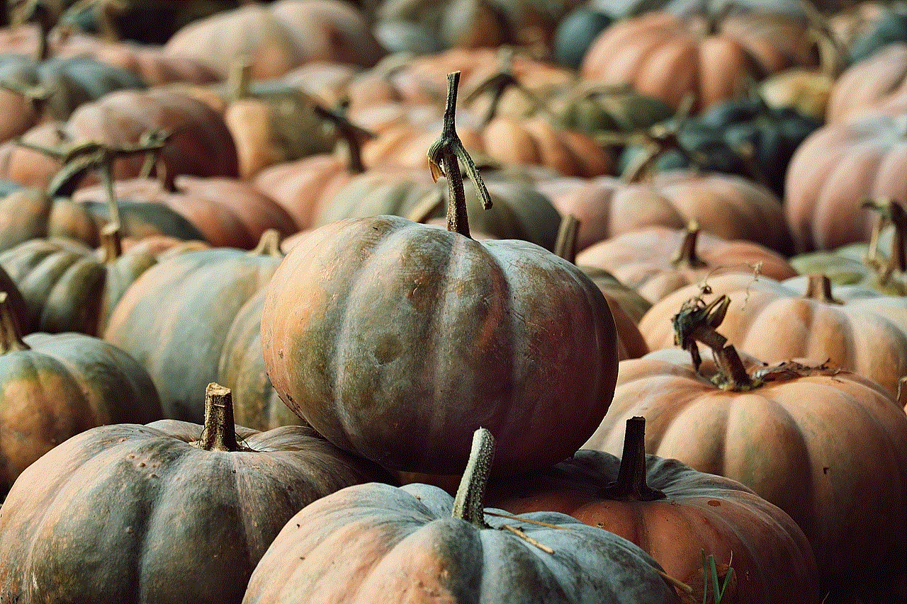 Pumpkins Pumpkin Patch