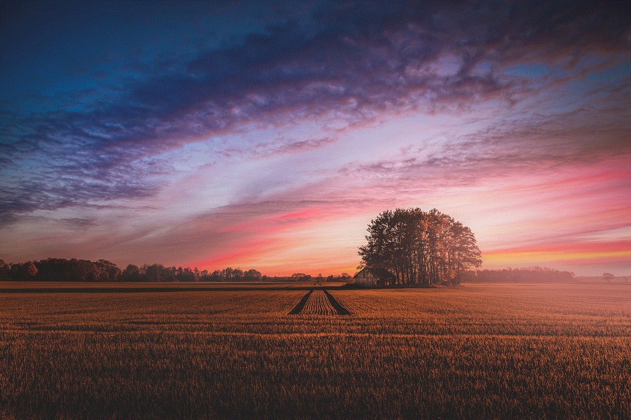 Sunset Fields