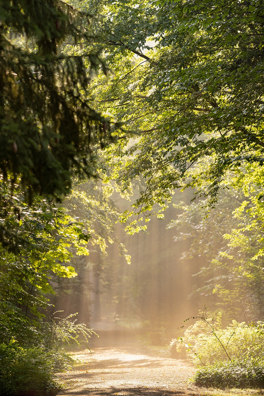 Trees Forest