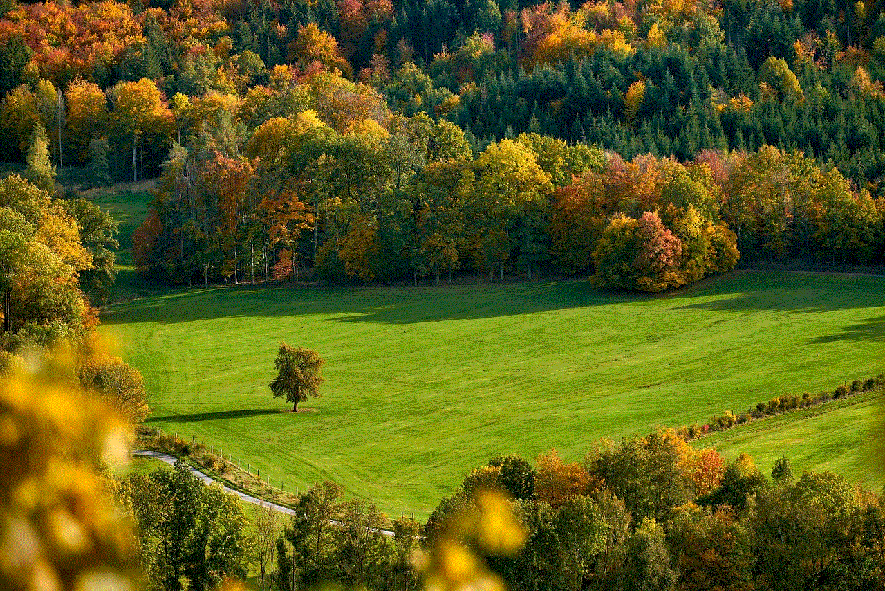 Field Trees