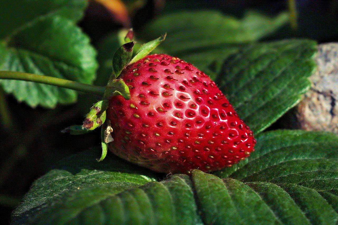 Strawberry Fruit