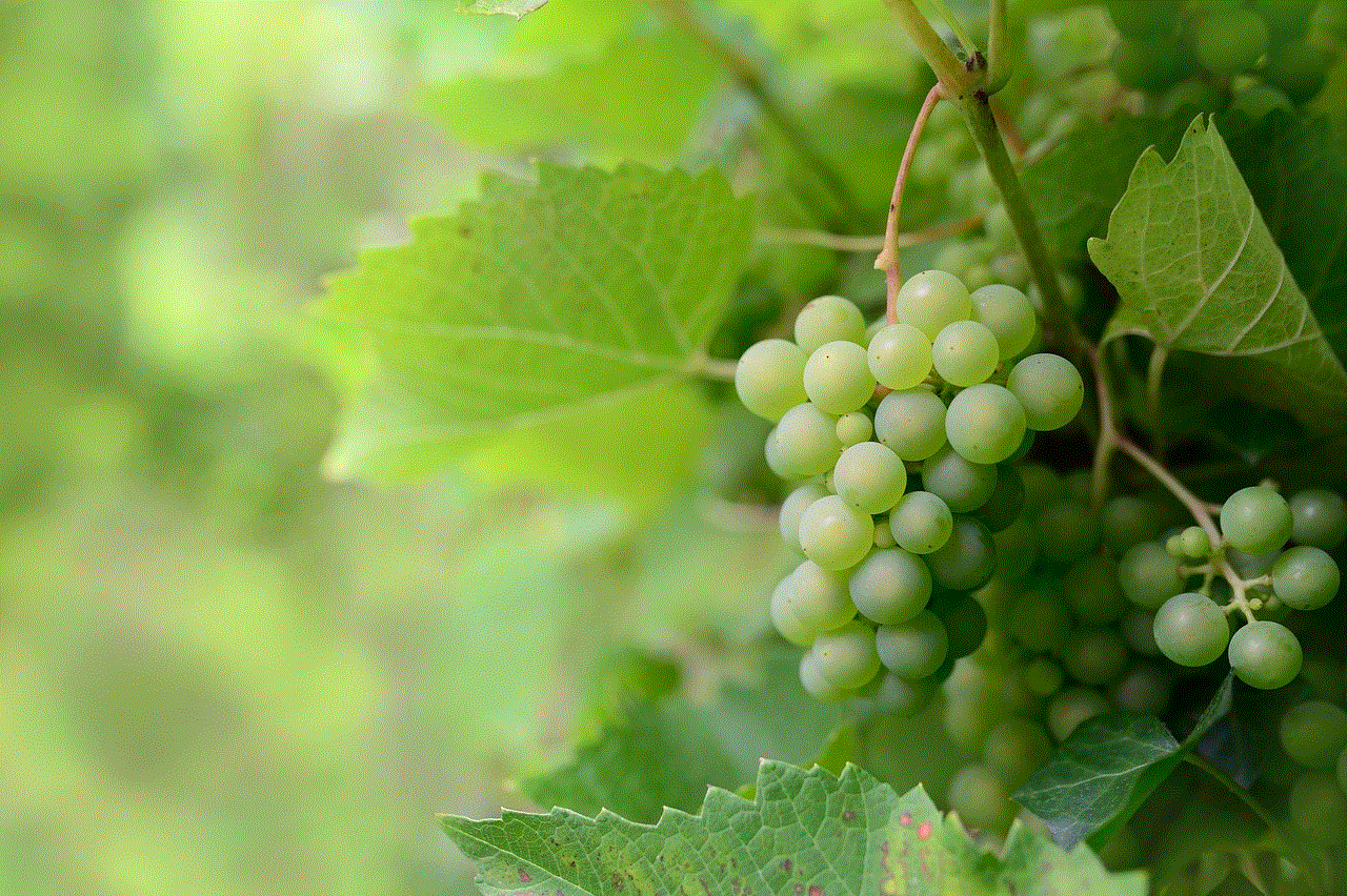 Fruit Grapes