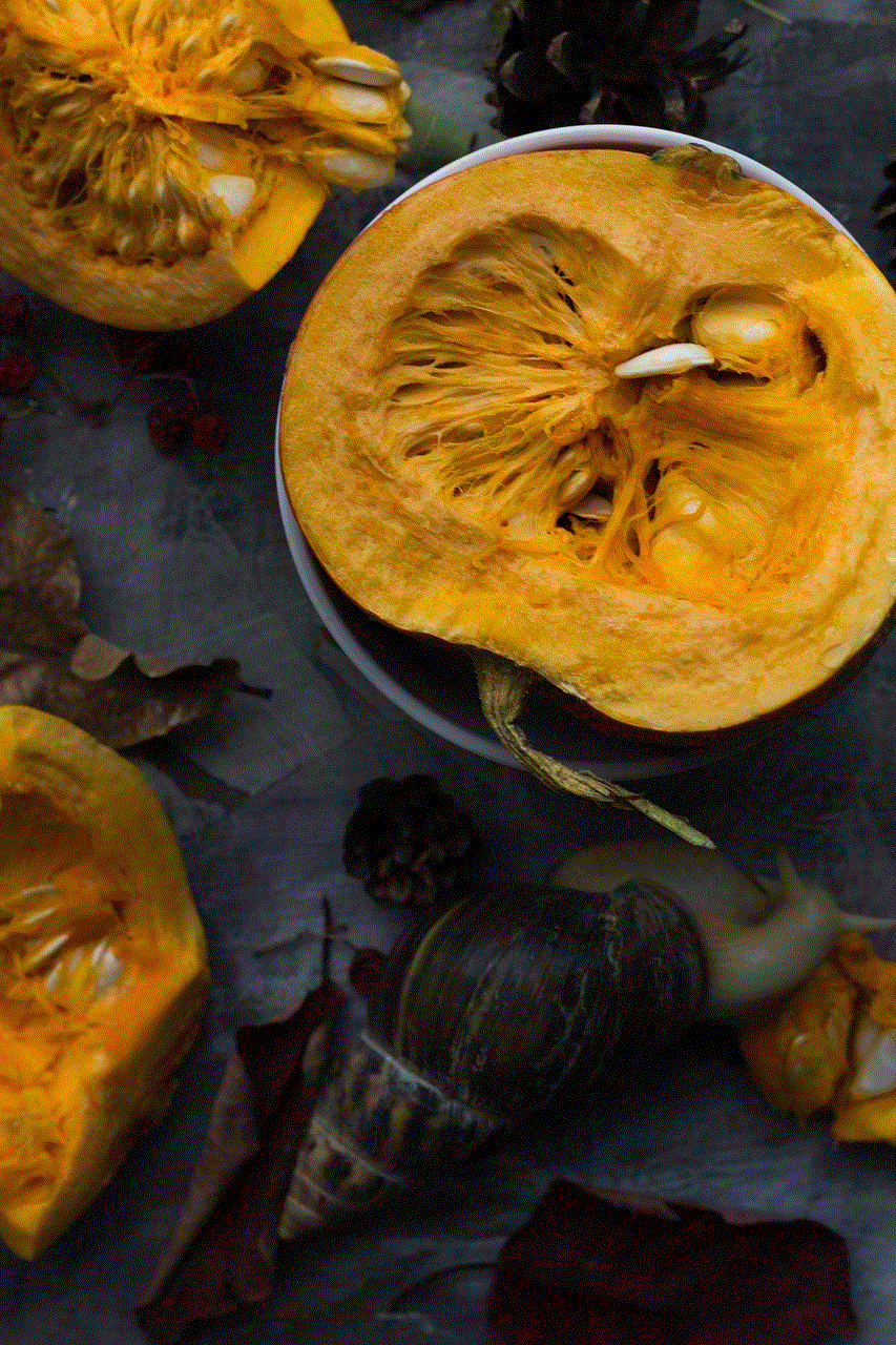 Autumn Pumpkin