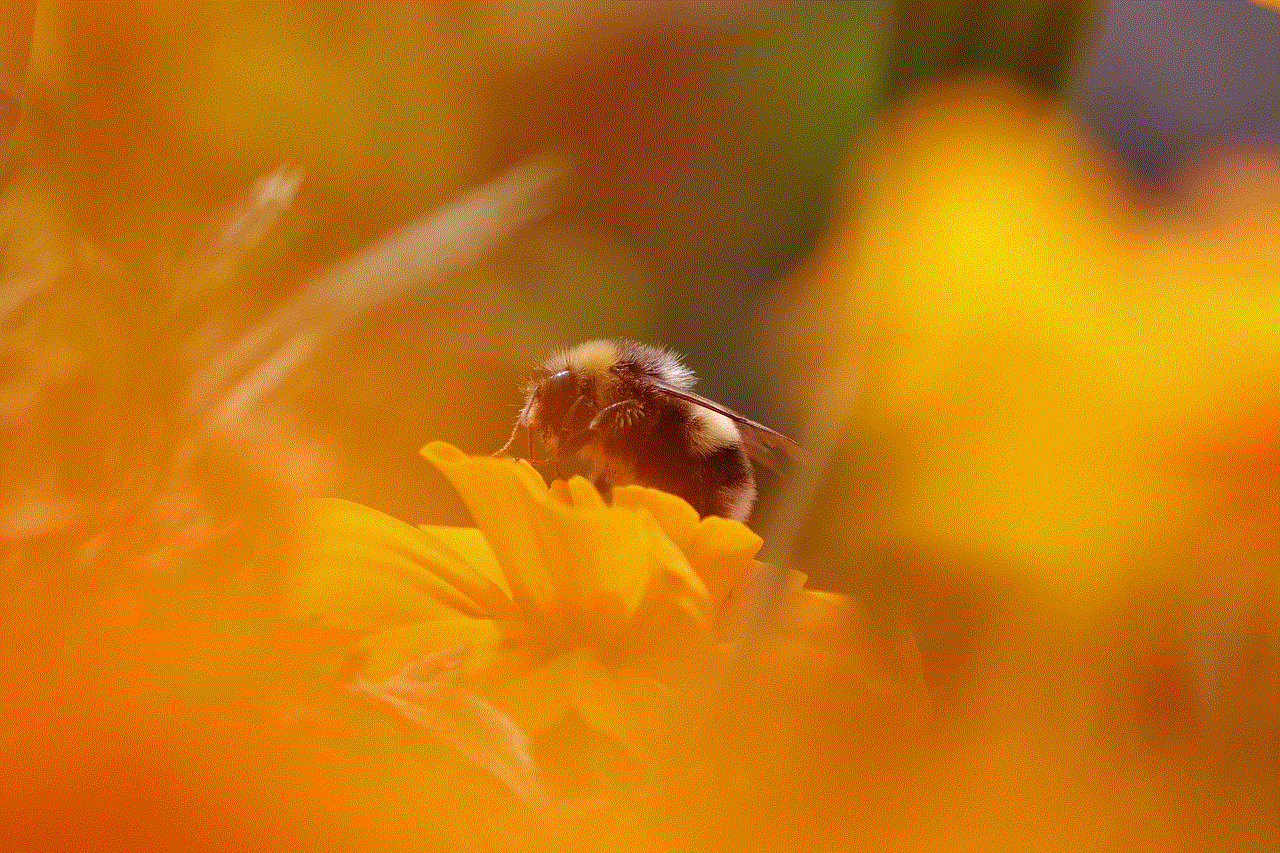 Bumblebee Flower Wallpaper Bumblebee Flower Wallpaper