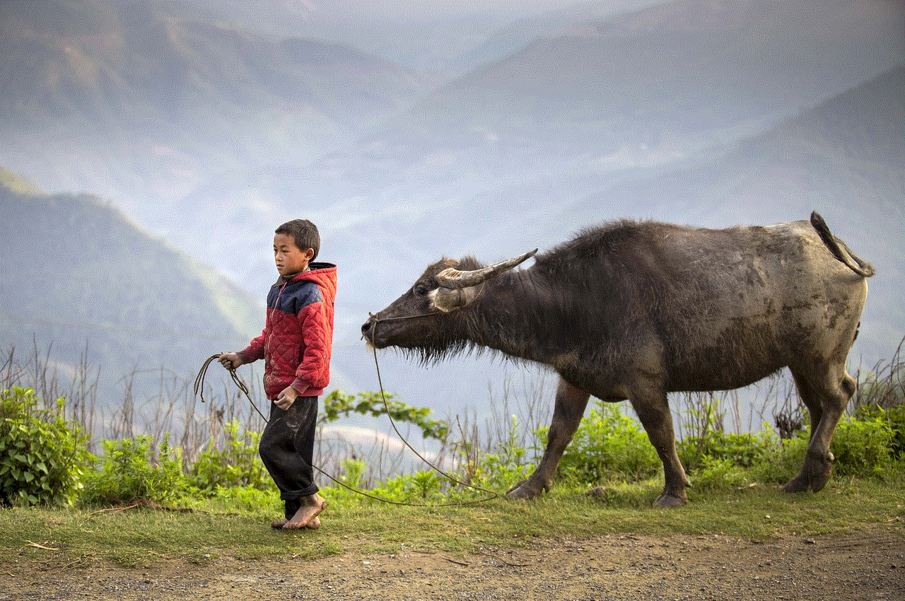 Boy Buffalo Herder
