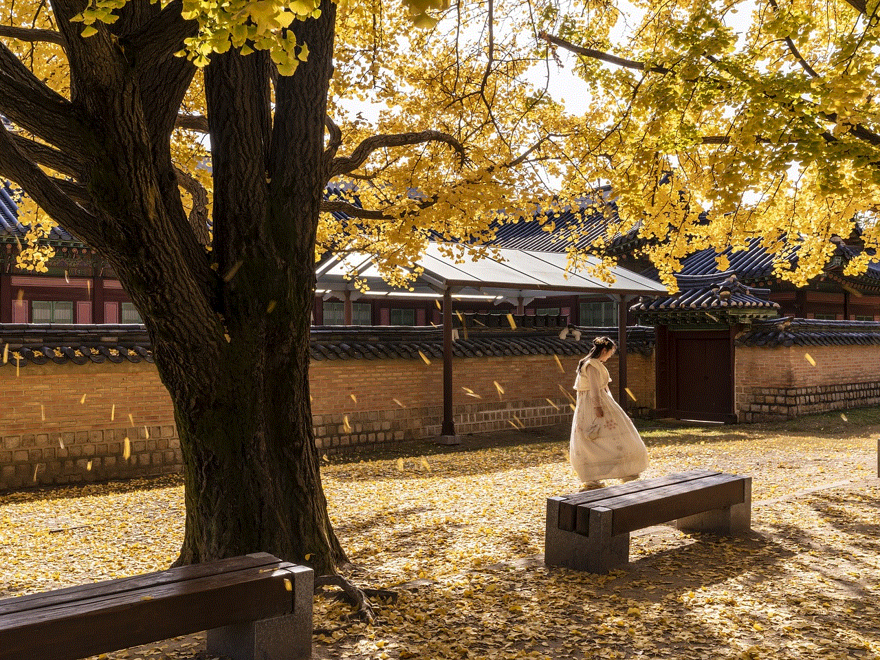 Gyeongbok Palace Woman
