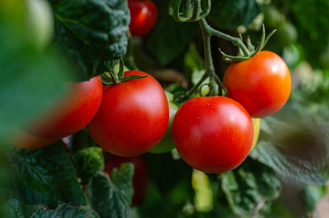 Tomatoes Vegetables