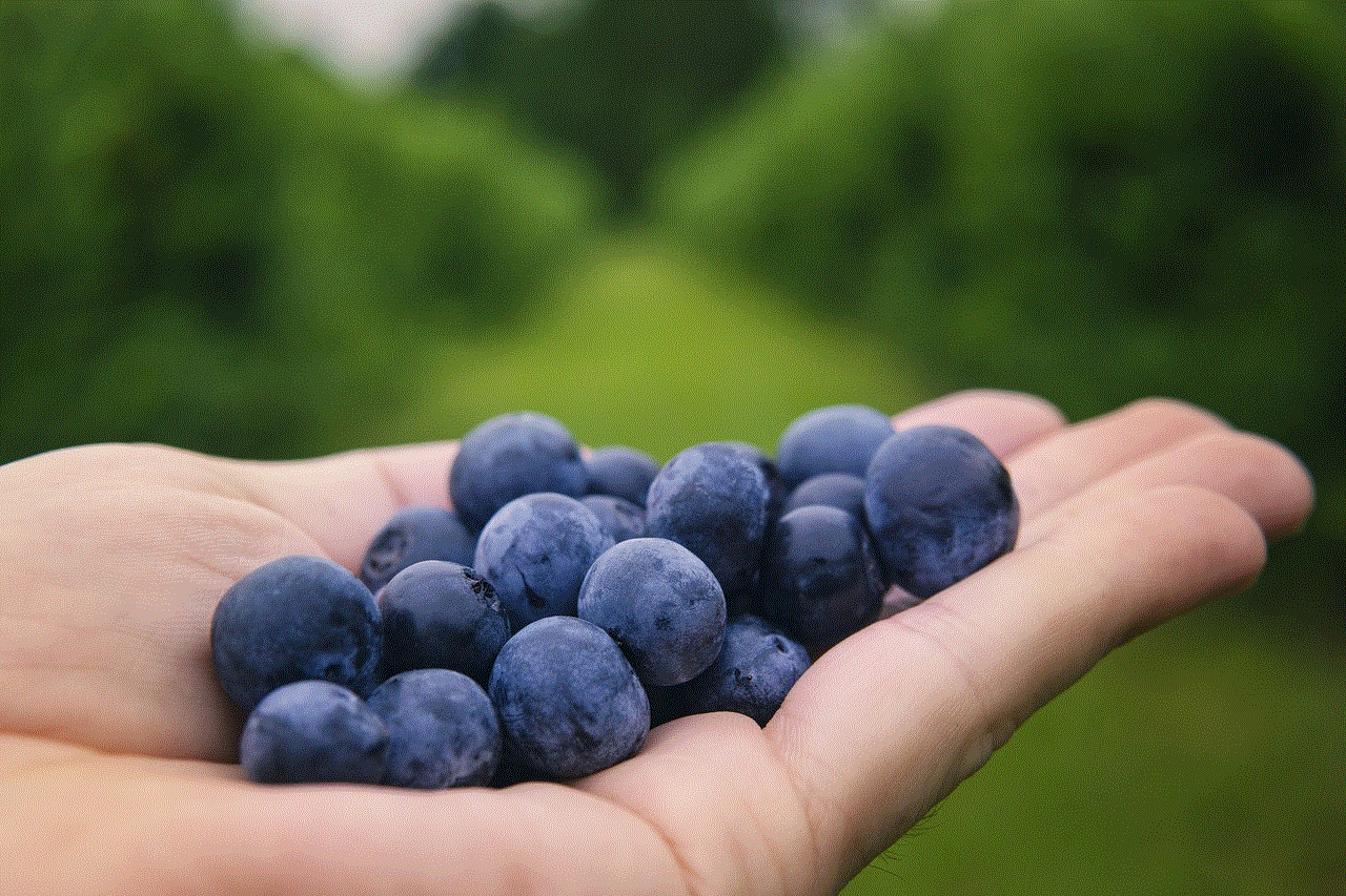 Blueberries Fruits