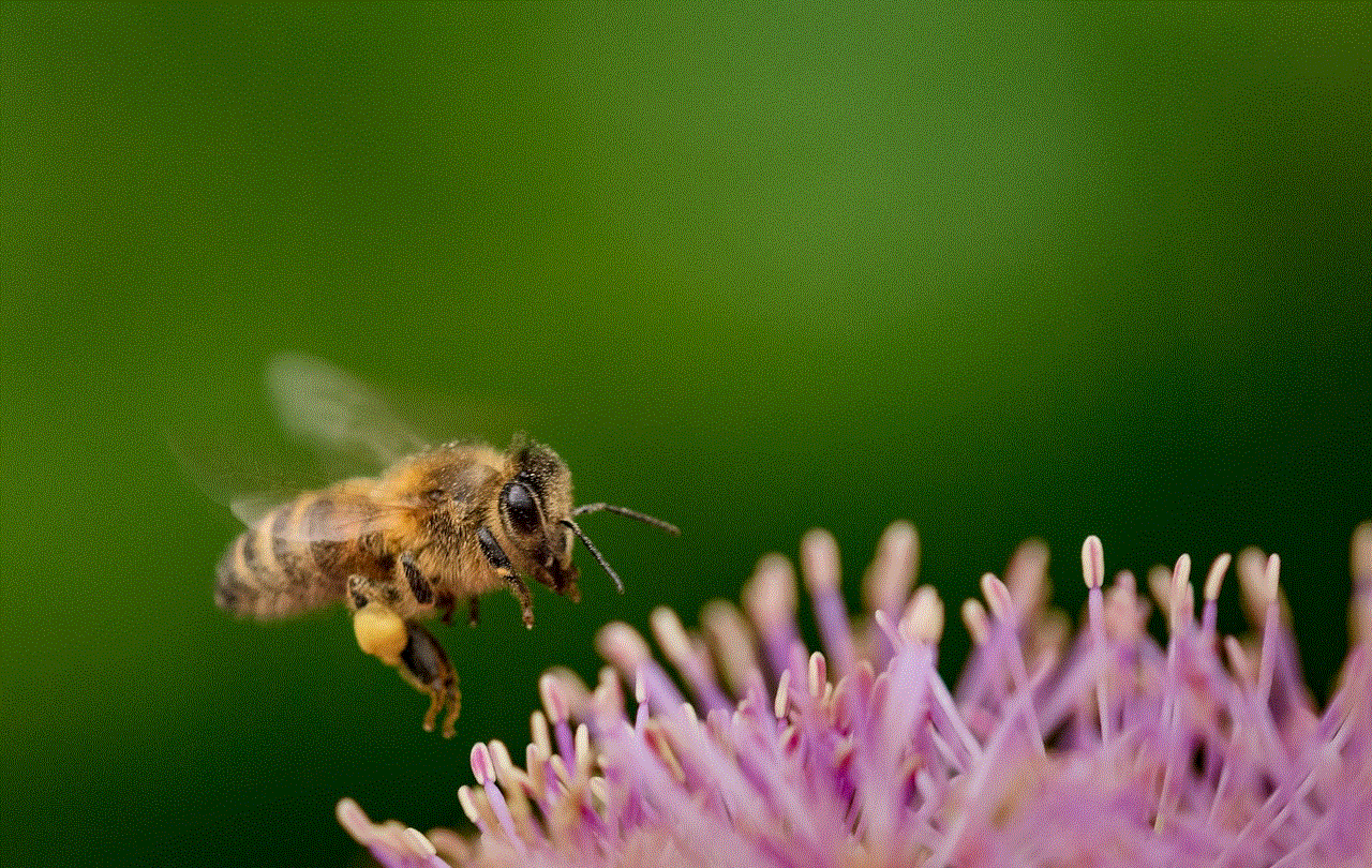 Bumblebee Hovering