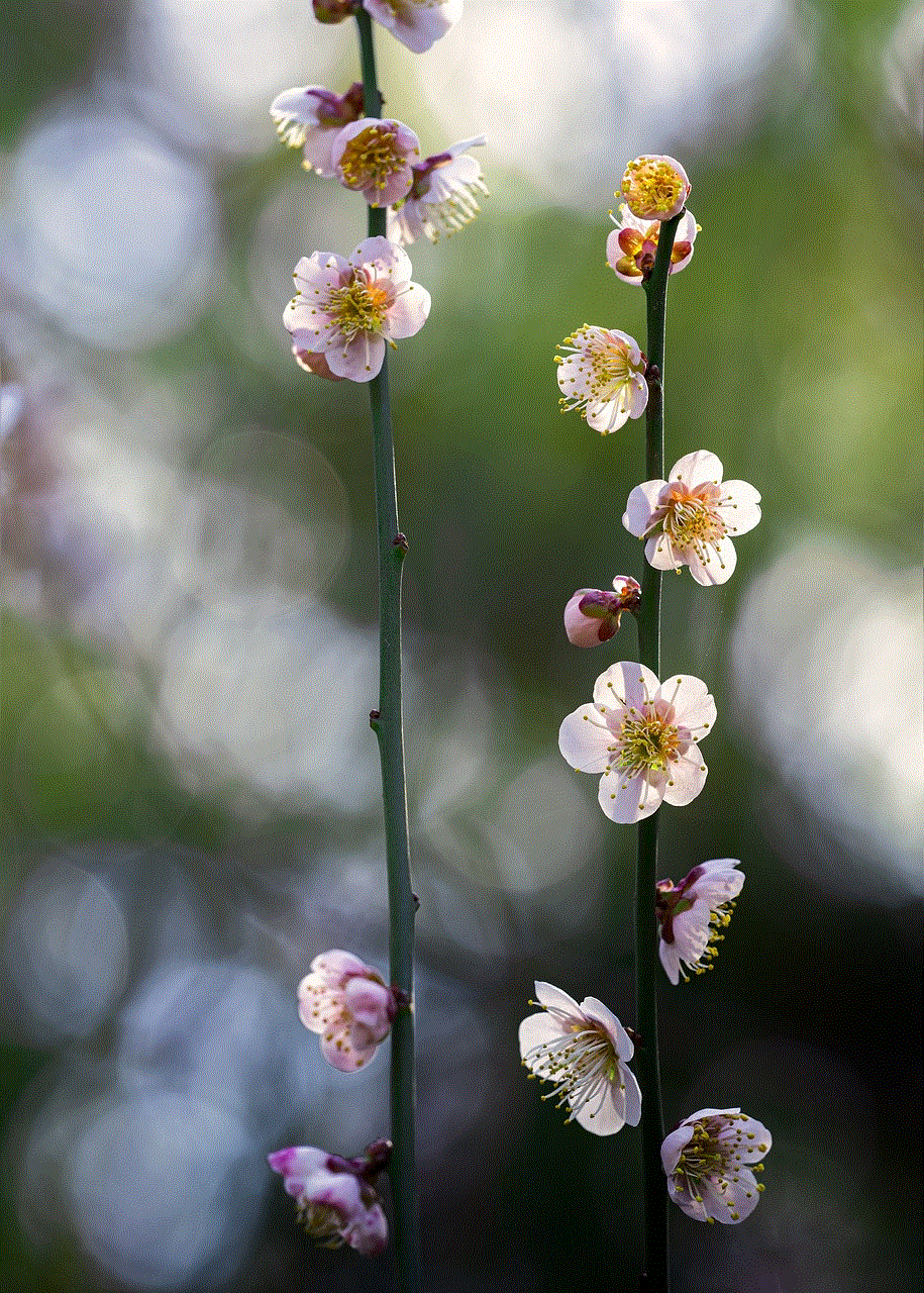 Plant Plum Blossom