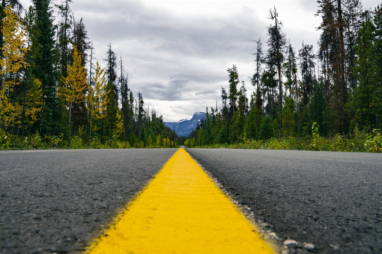 Highway Wilderness