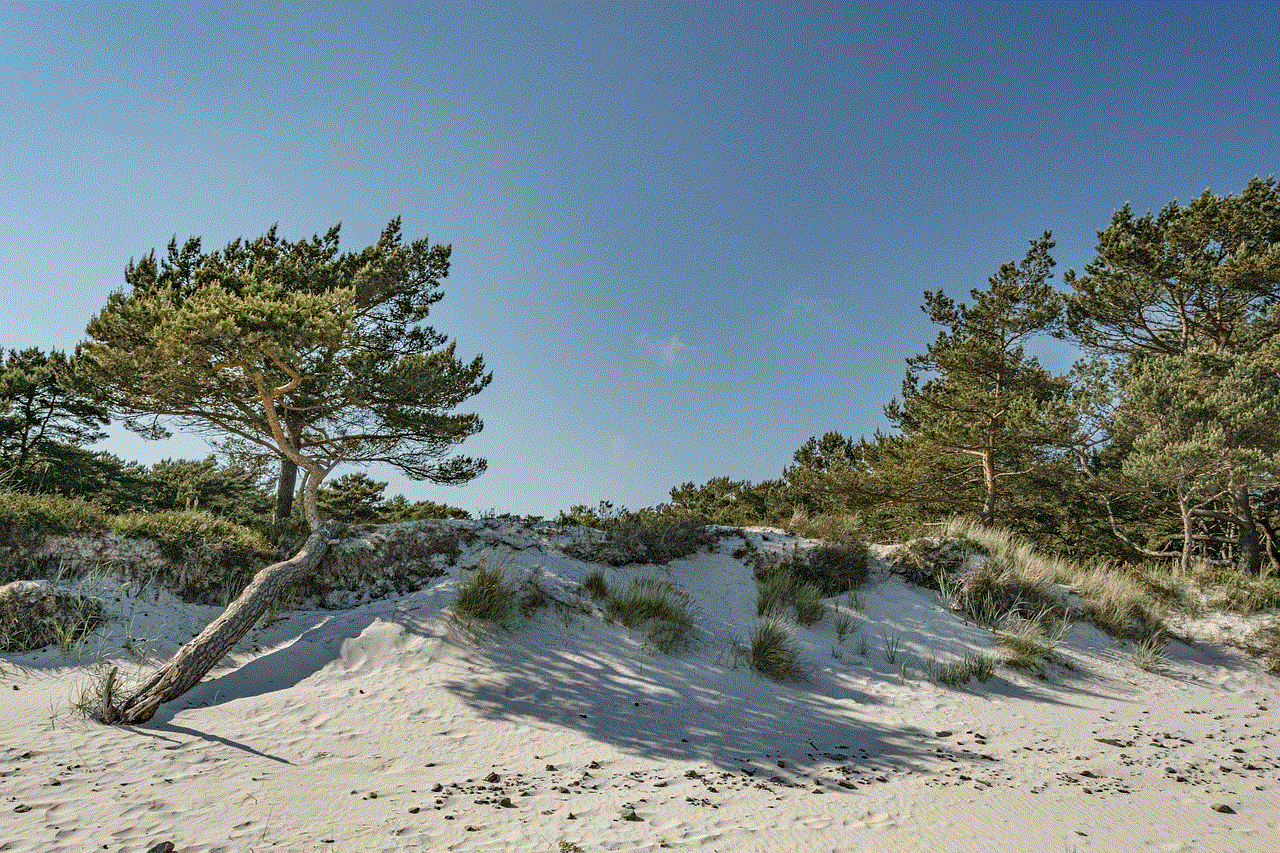 Beach Baltic Sea