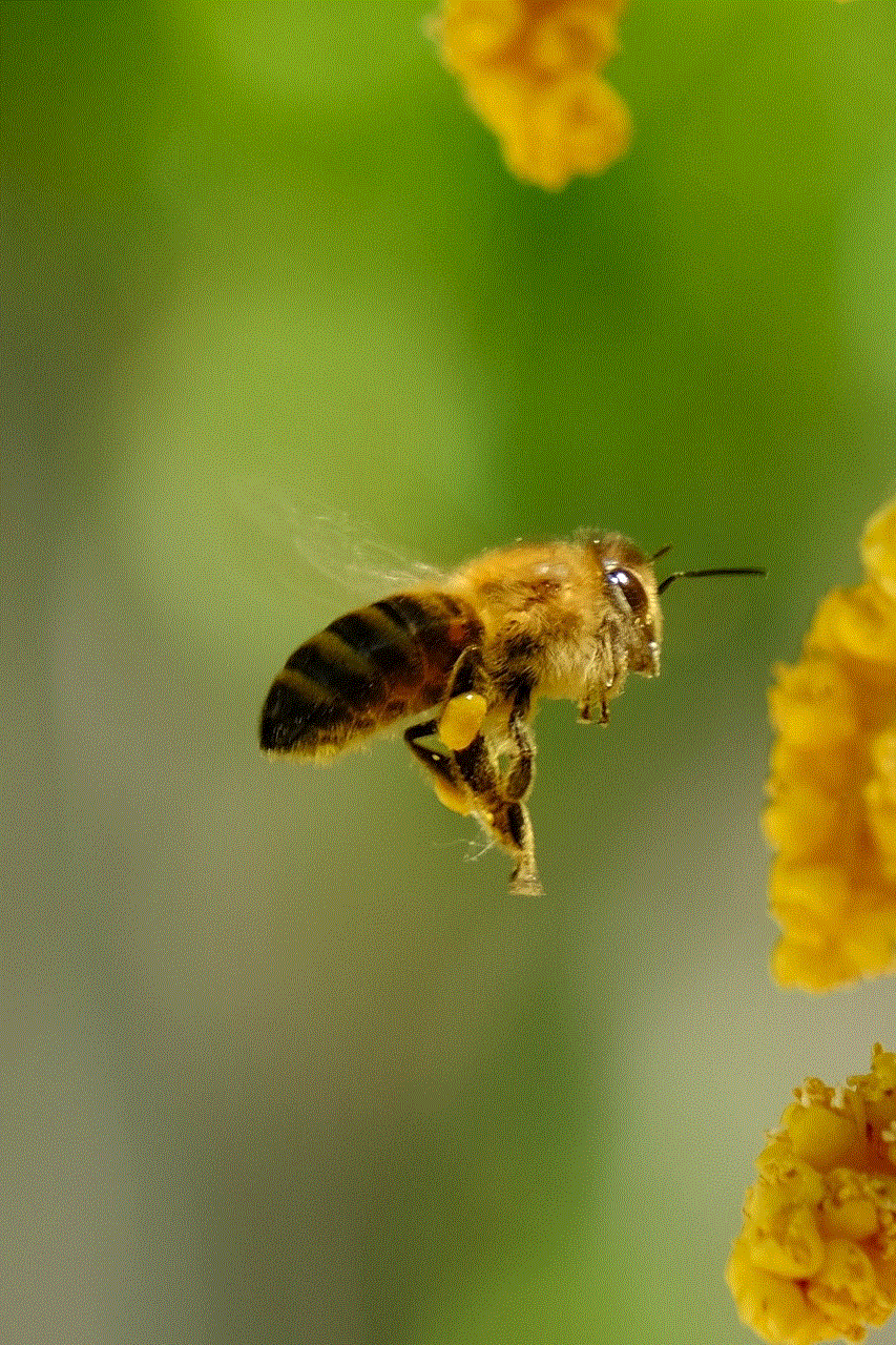 Bee Beautiful Flowers