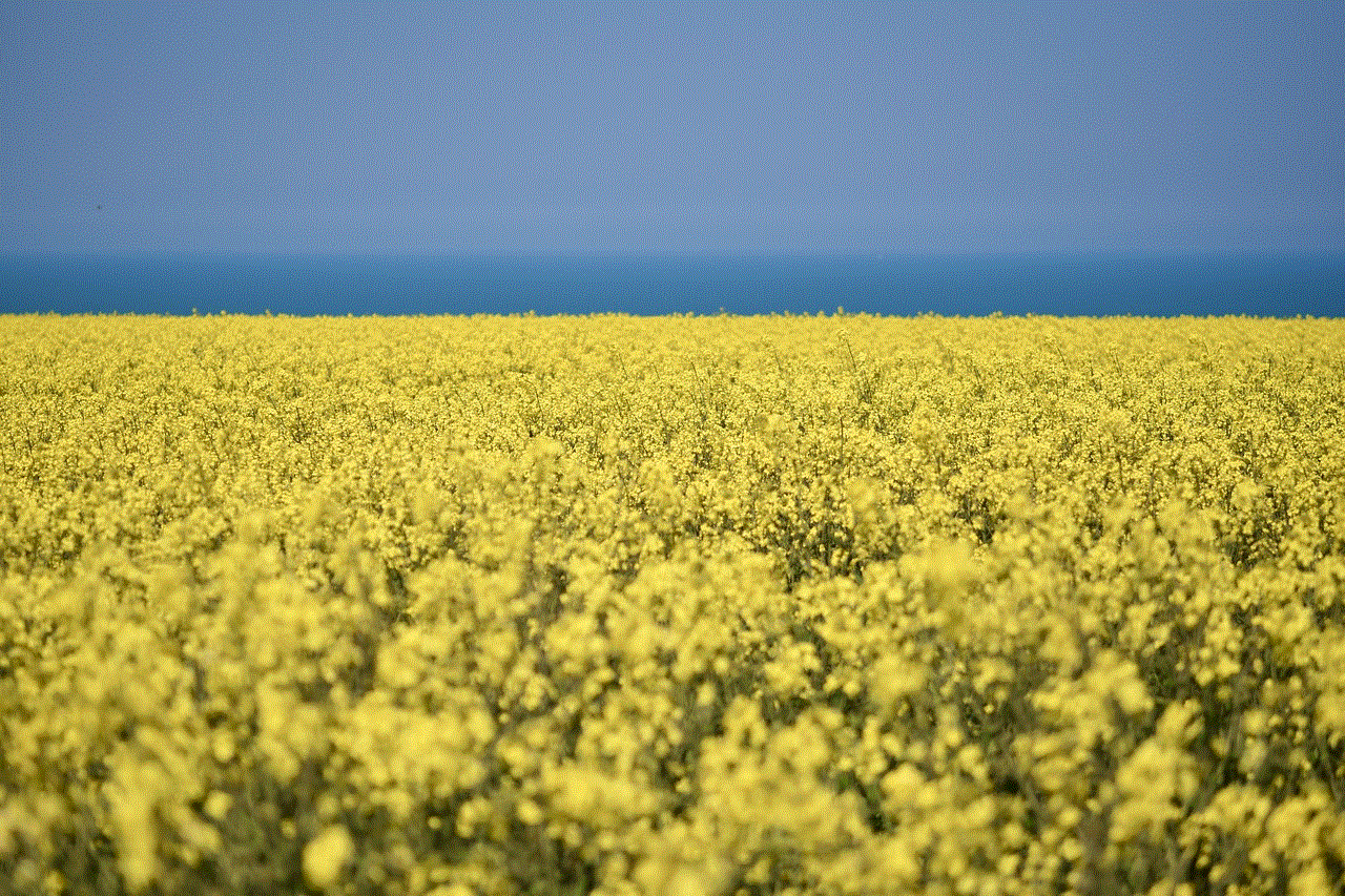 Rapeseed Cultivated Field
