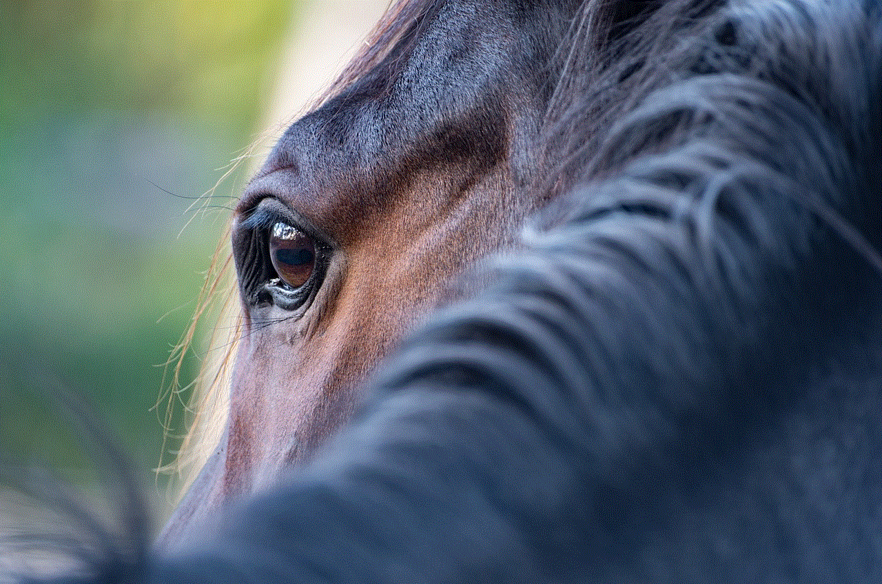 Horse Eye