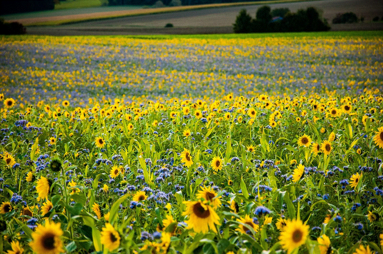 Nature Field