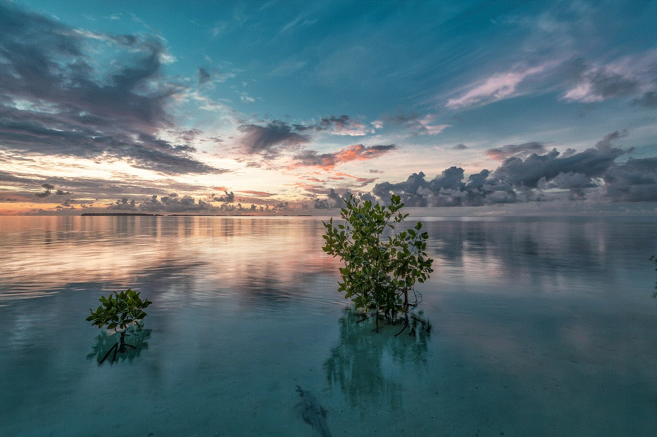 Sea Mangrove