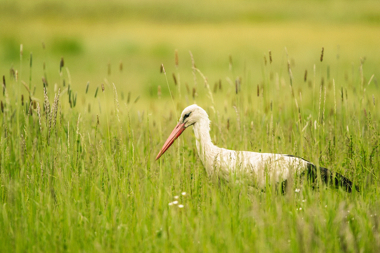 Stork Meadow