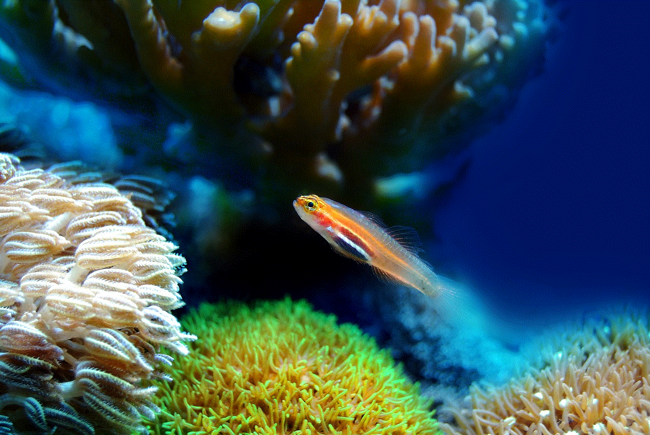Fish Coral