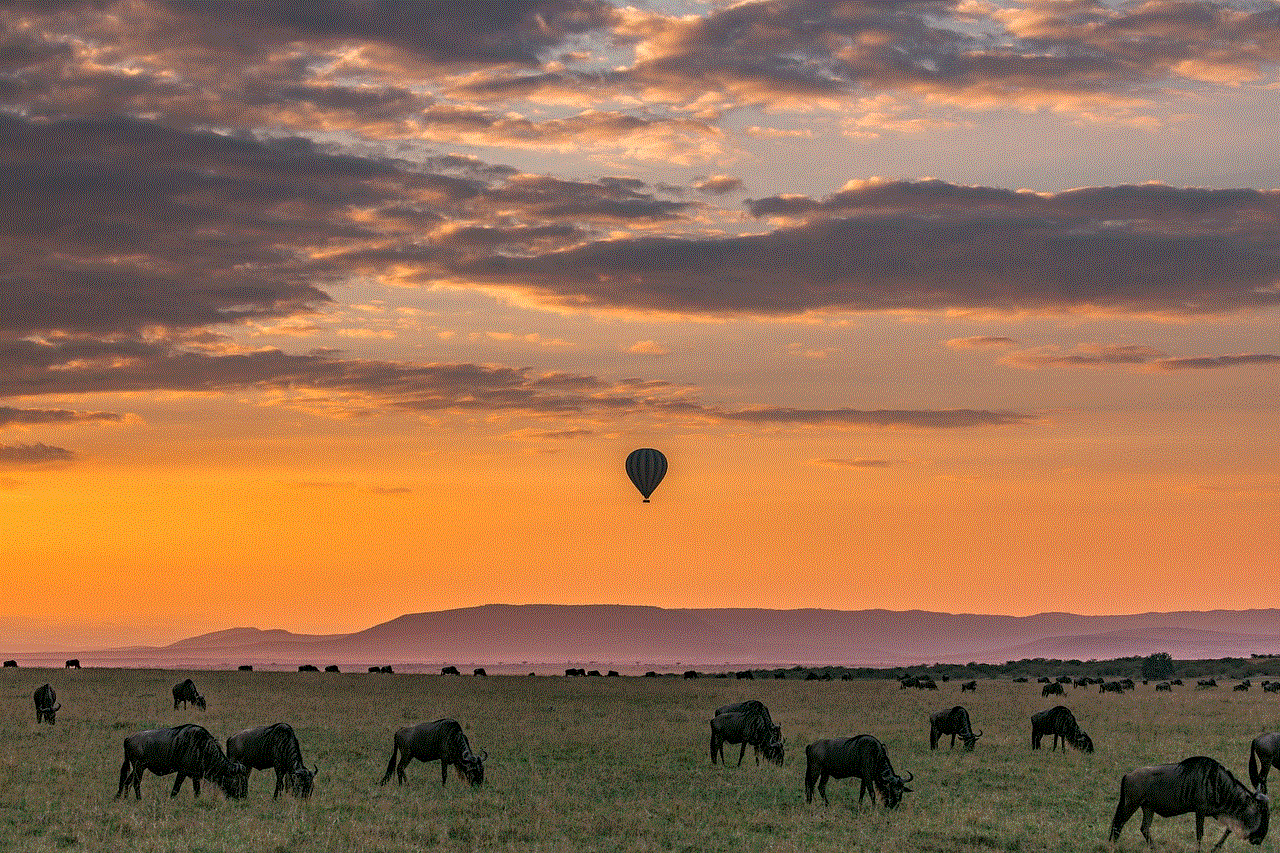 Safari Hot Air Balloon