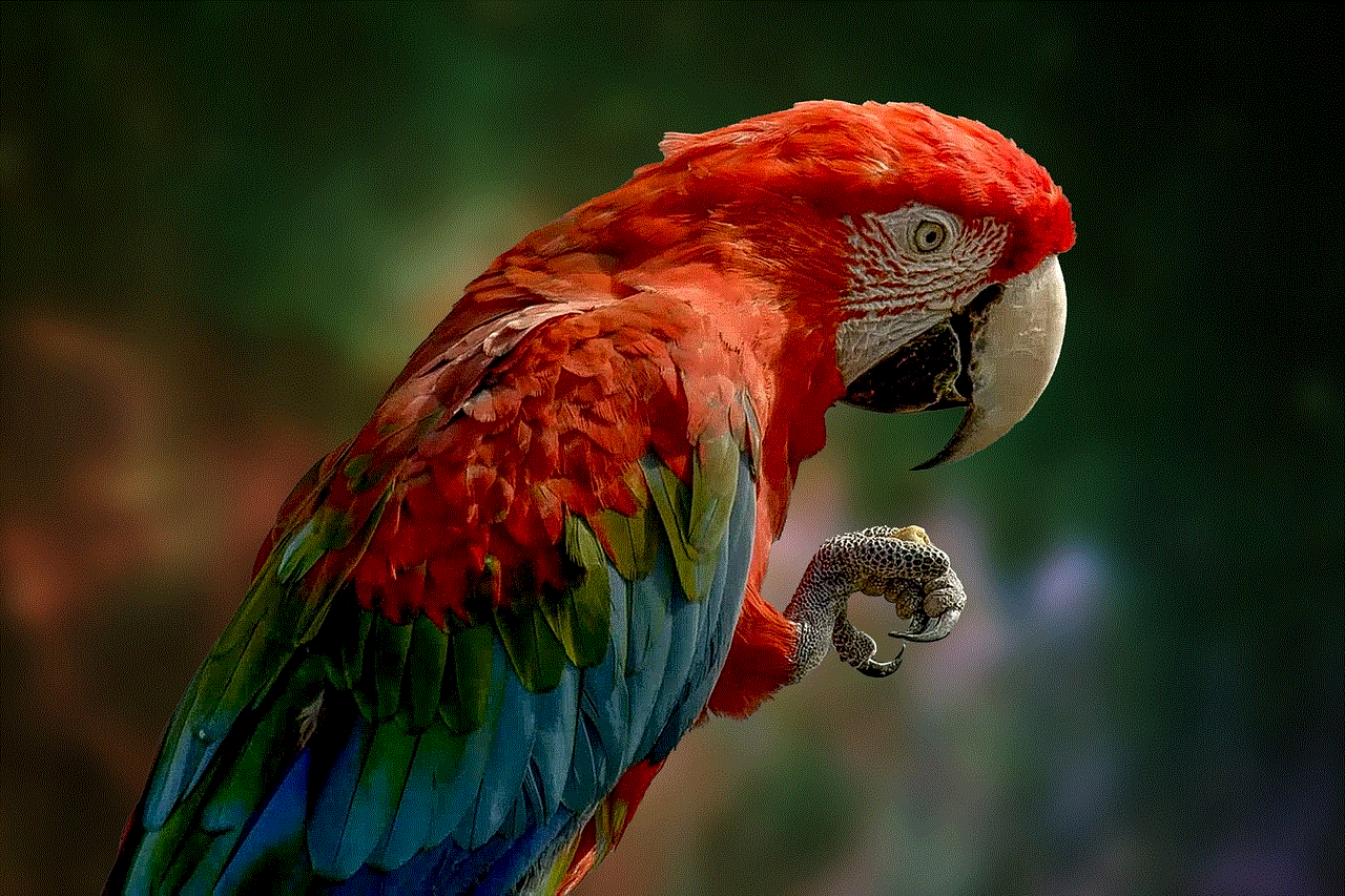 Parrot Bird