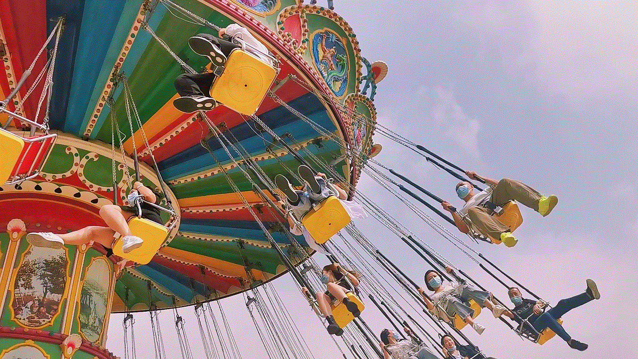 Amusement Park Swing Ride