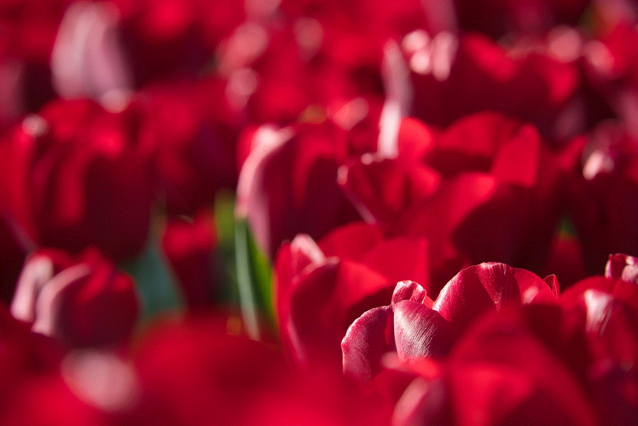 Red Tulips