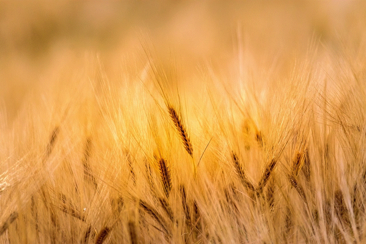 Wheat Field