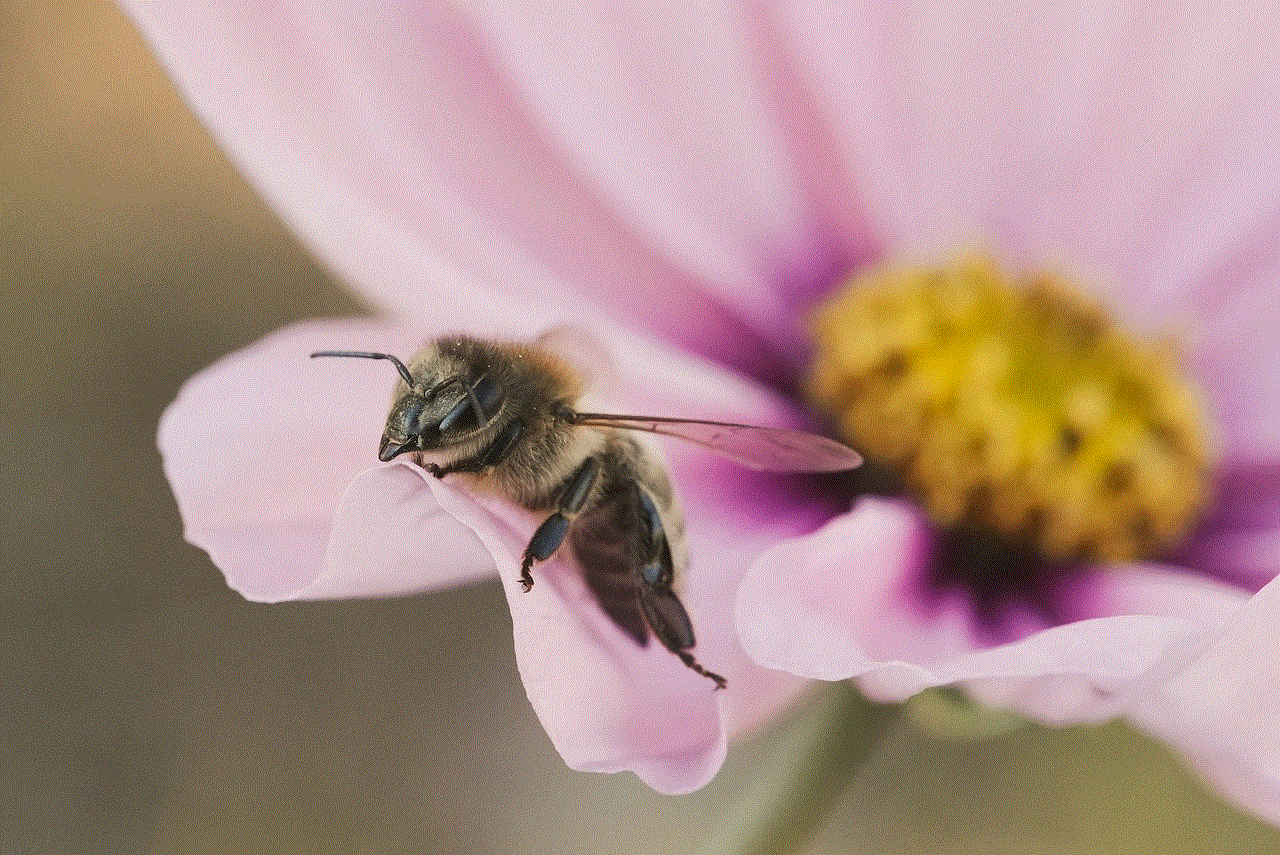 Flower Bee