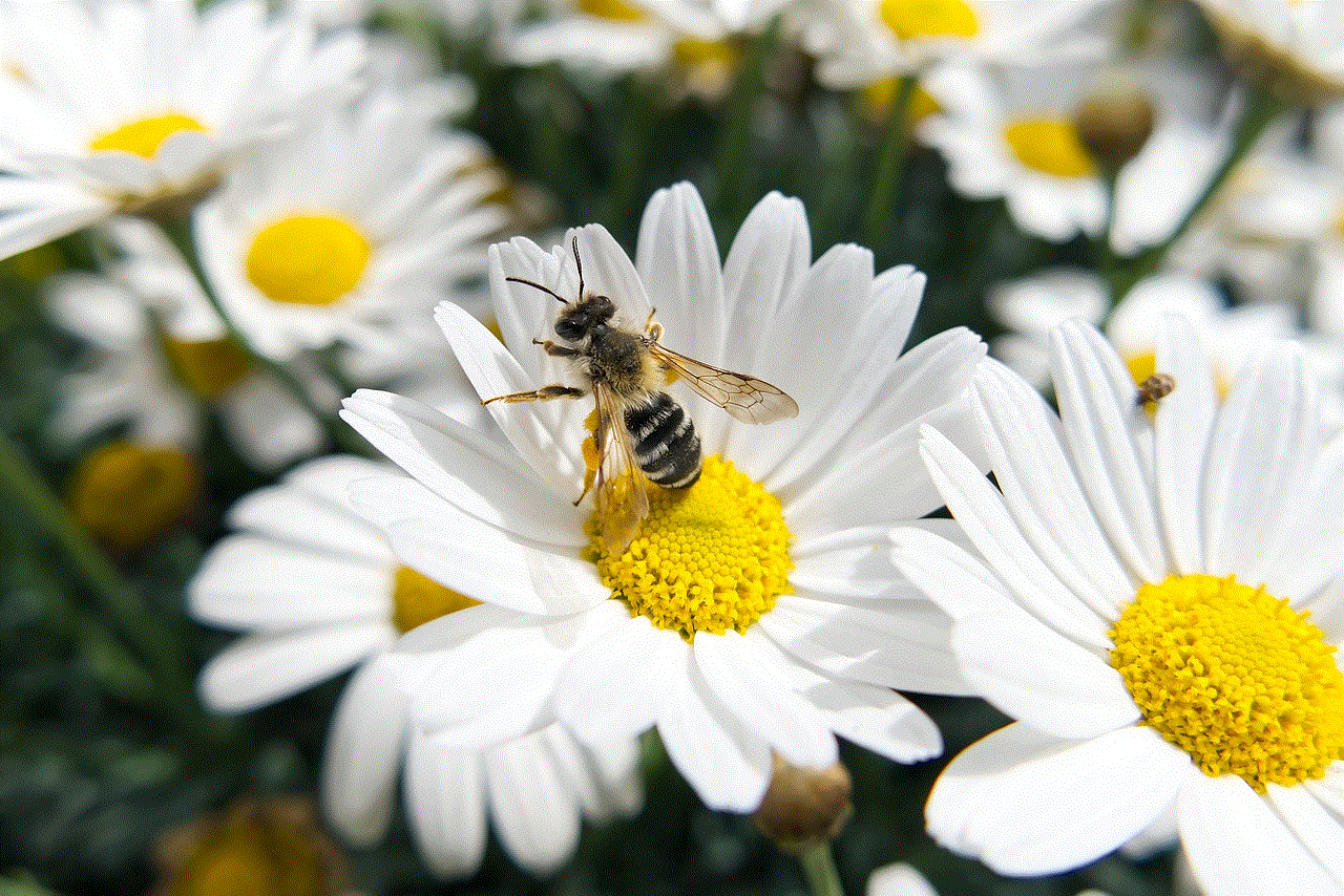Bee White Flowers