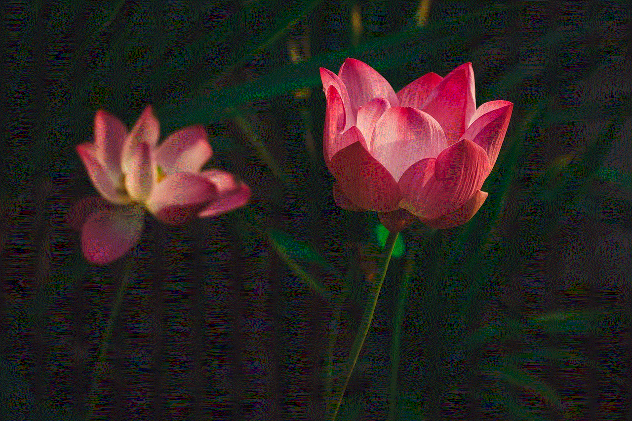 Lotus Flower