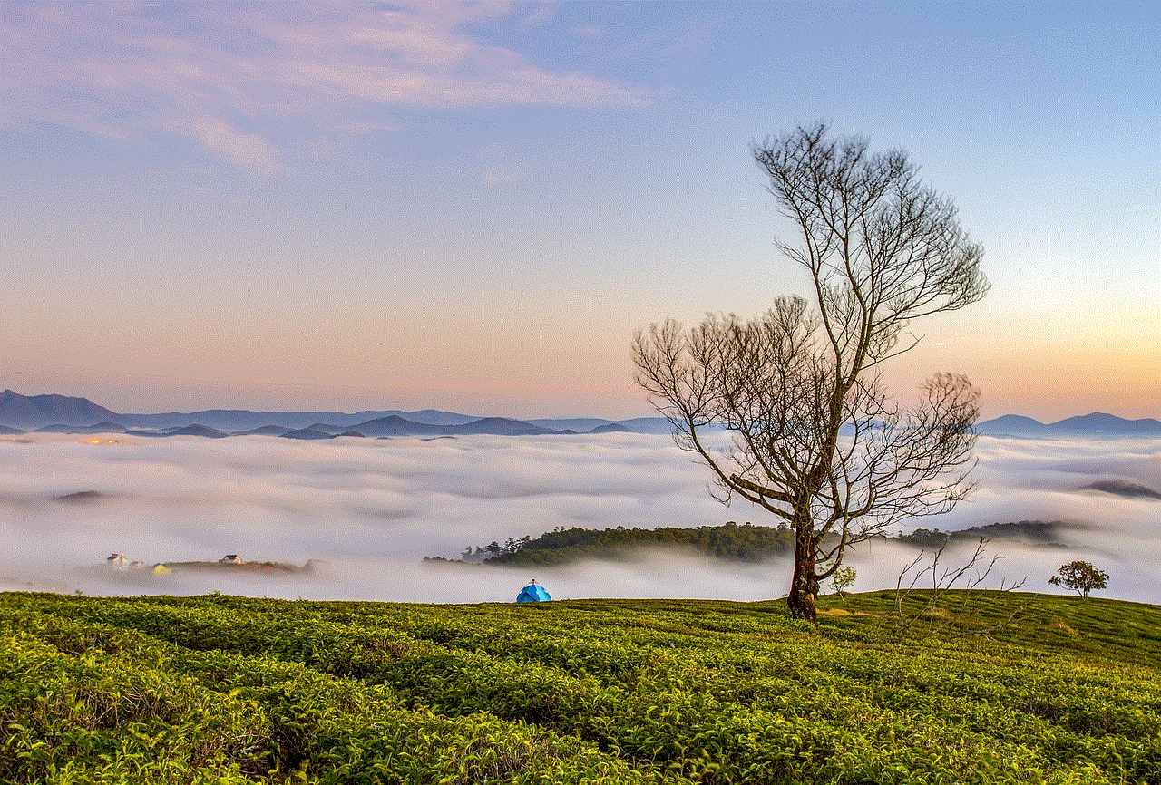 Morning Fog Morning Fog