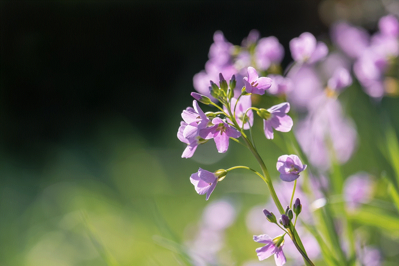 Flowers Buds