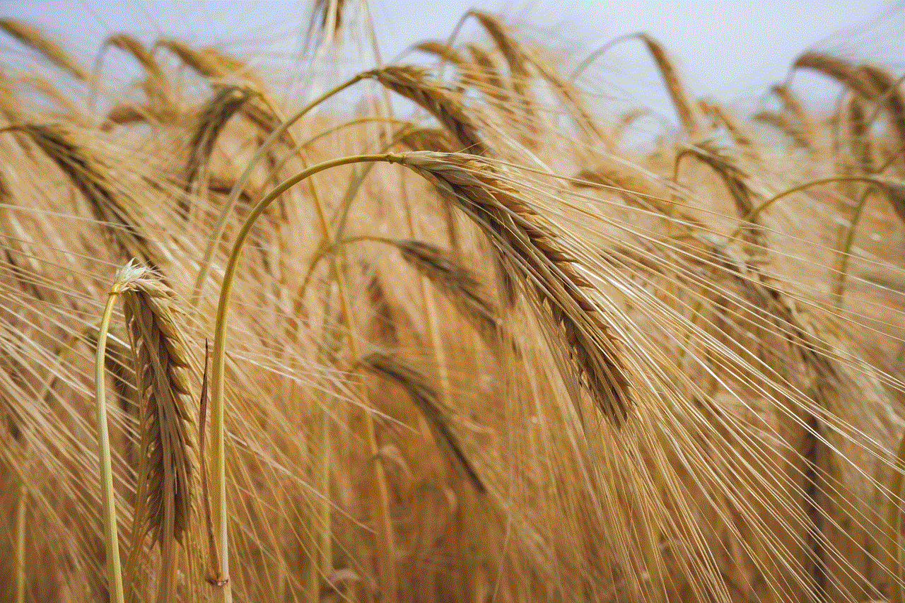 Field Wheats