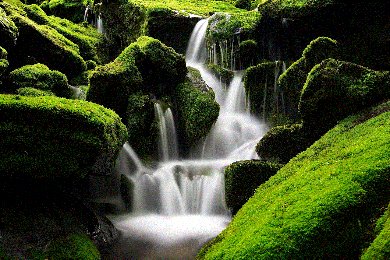 Waterfall Moss