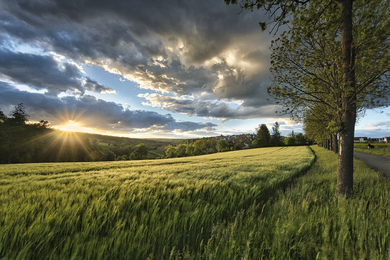 Sunset Meadow