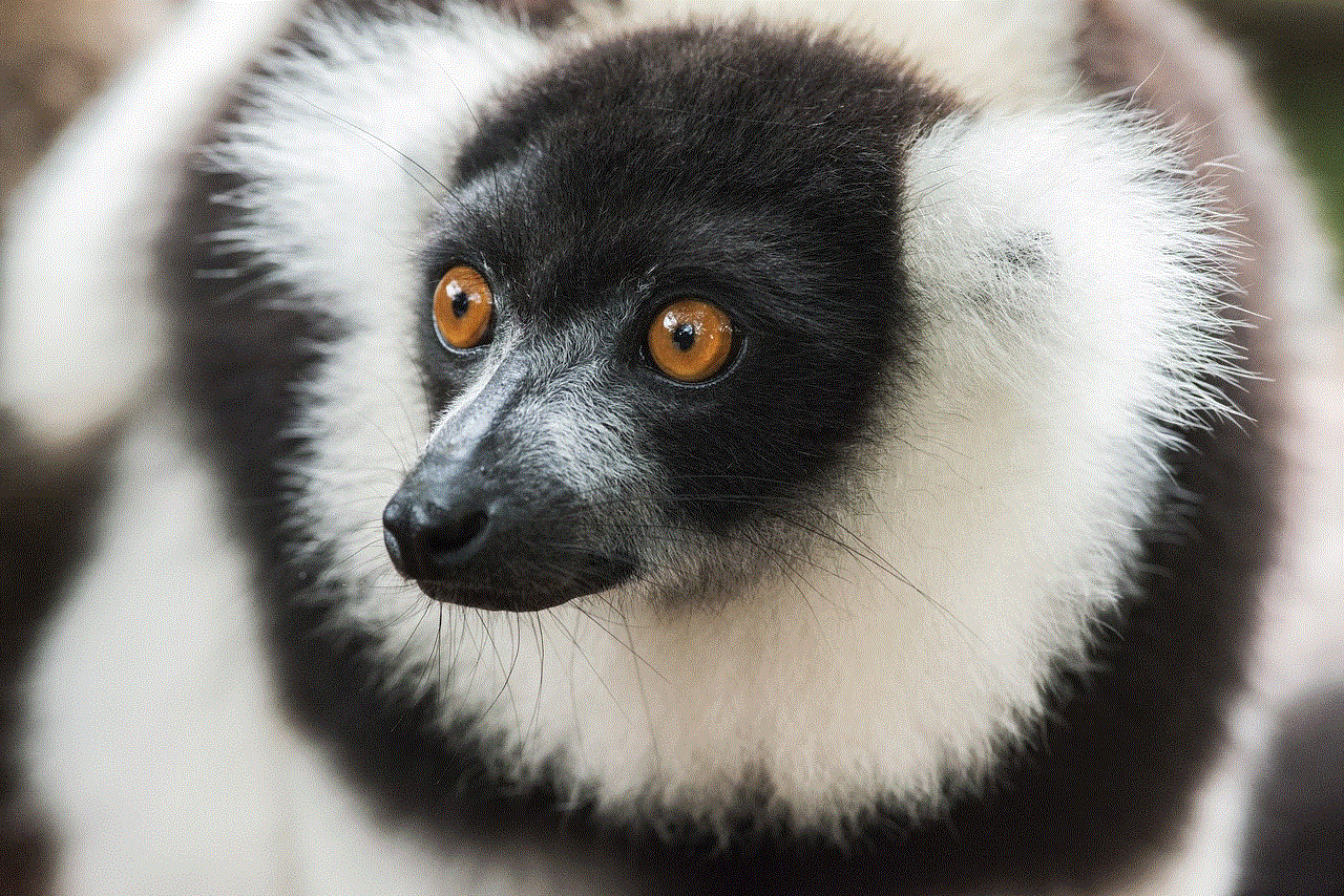 Lemur Ruffed Lemur