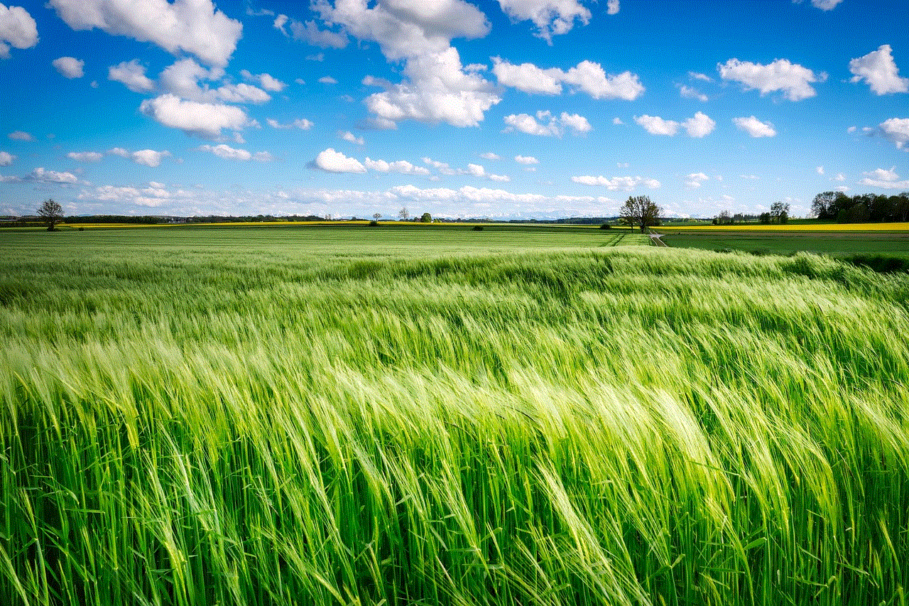 Field Grass