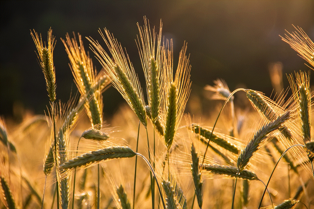 Rye Spike