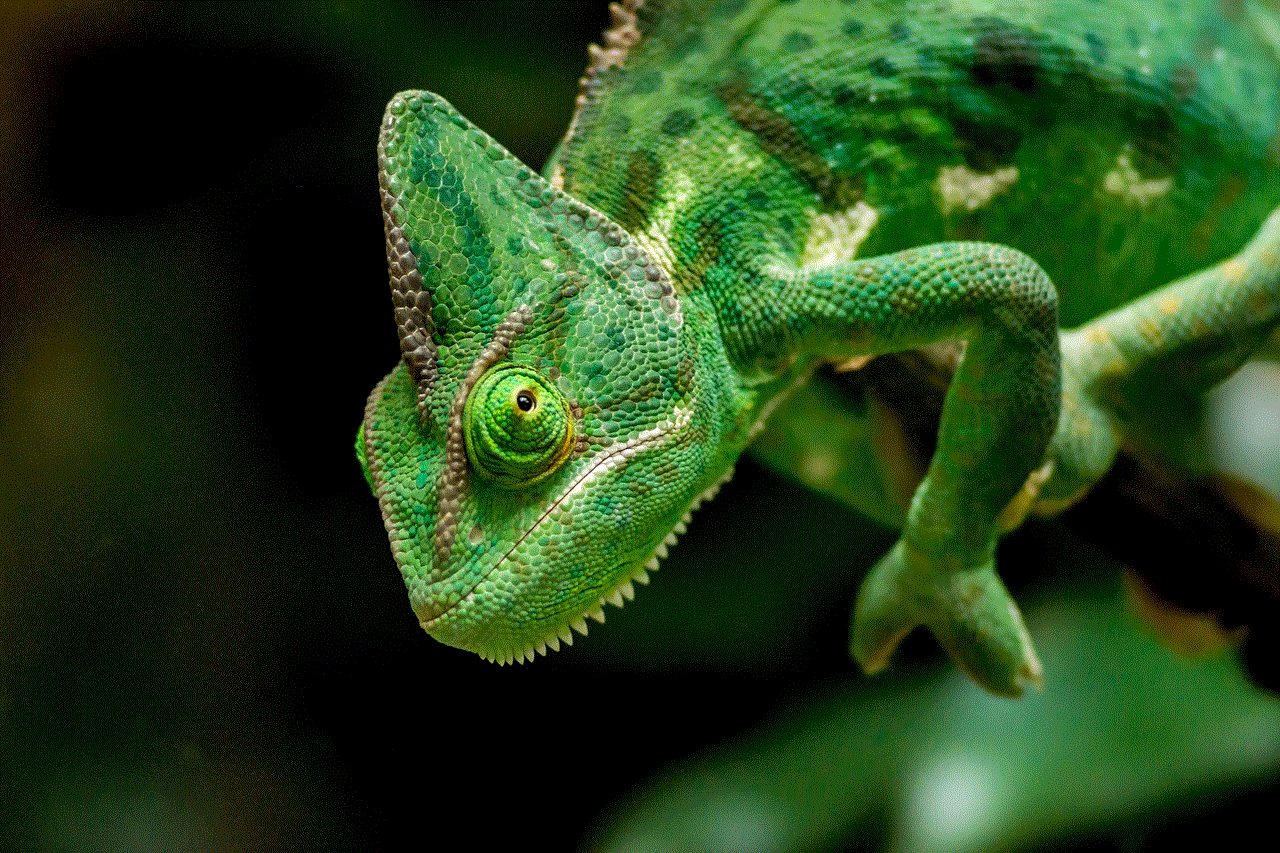 Chameleon Nature