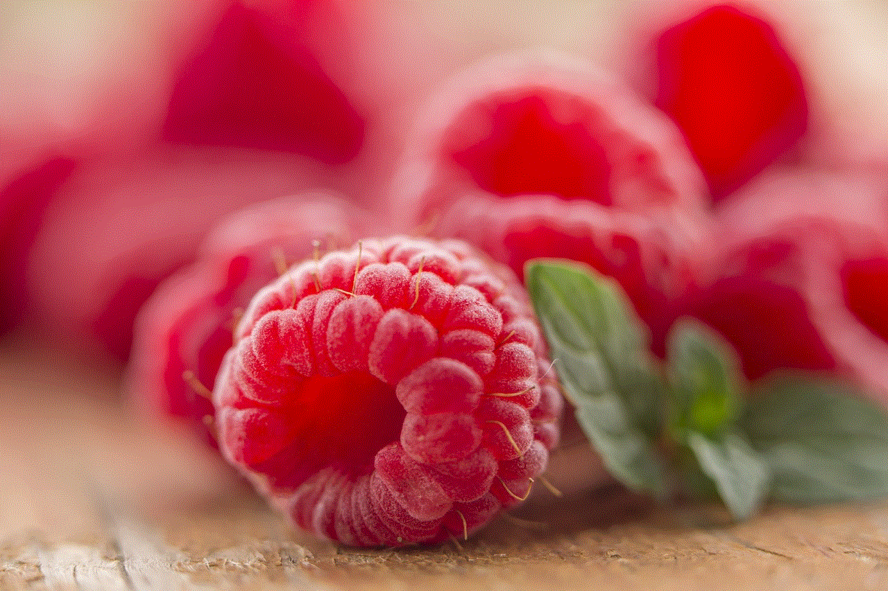 Fruits Raspberries