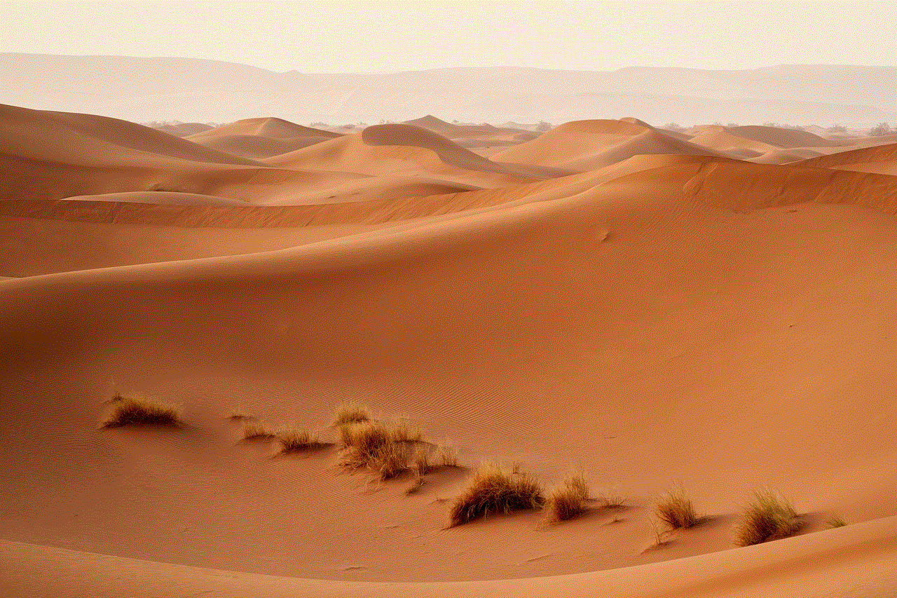 Desert Sahara