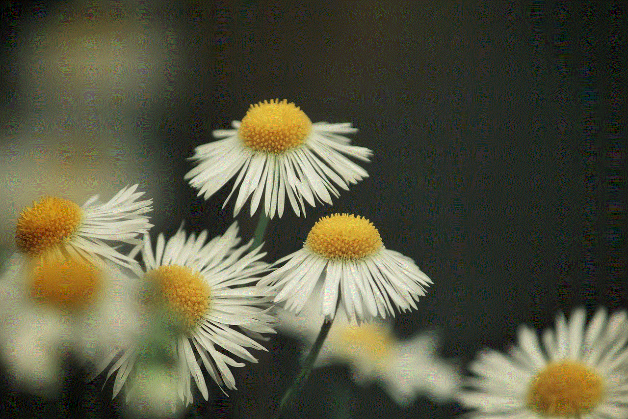 Chamomile Flowers