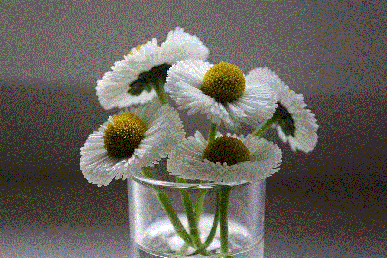 Bellies Daisy Bellies Daisy